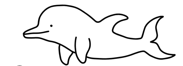 Dolphin