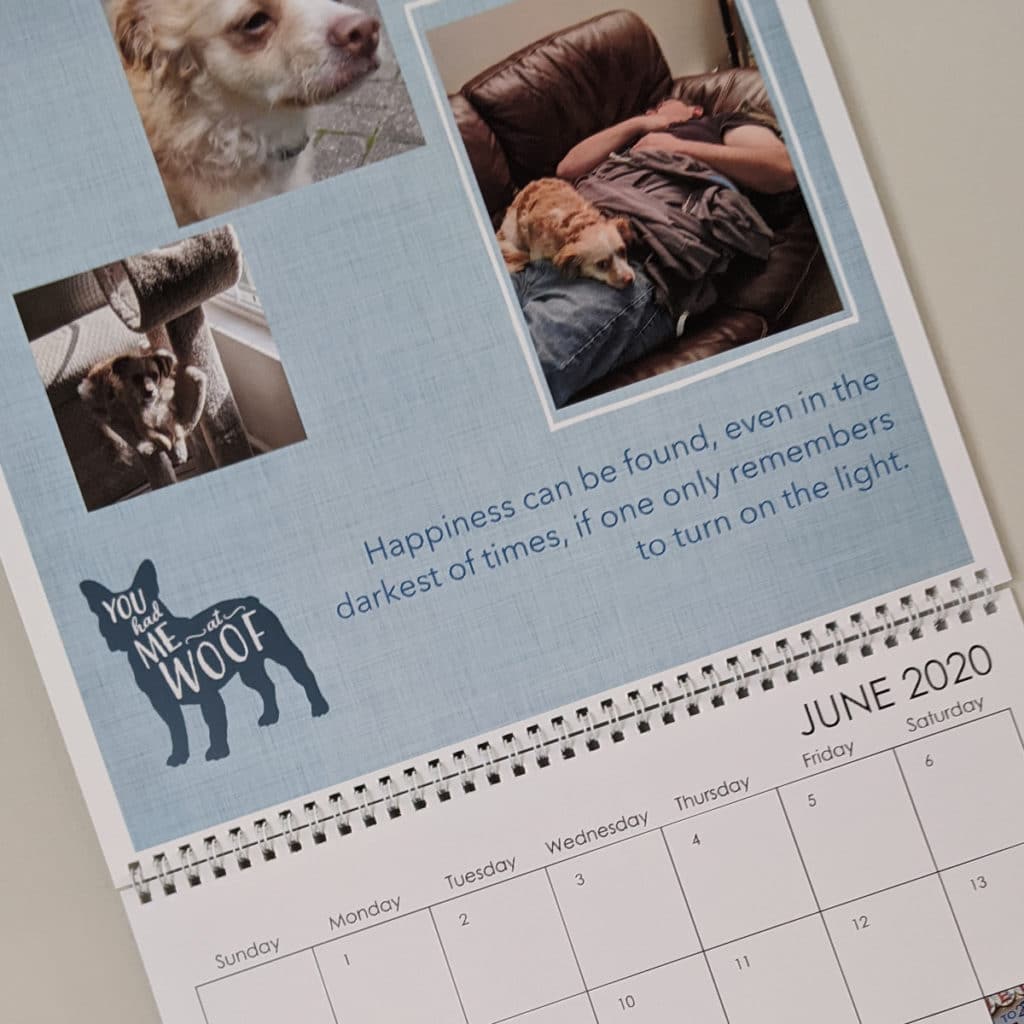 Snapfish wall calendar featuring dog photos