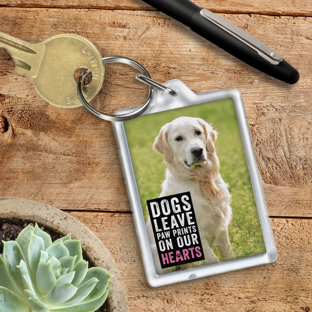 Photo of dog on key chain with embellishment quote
