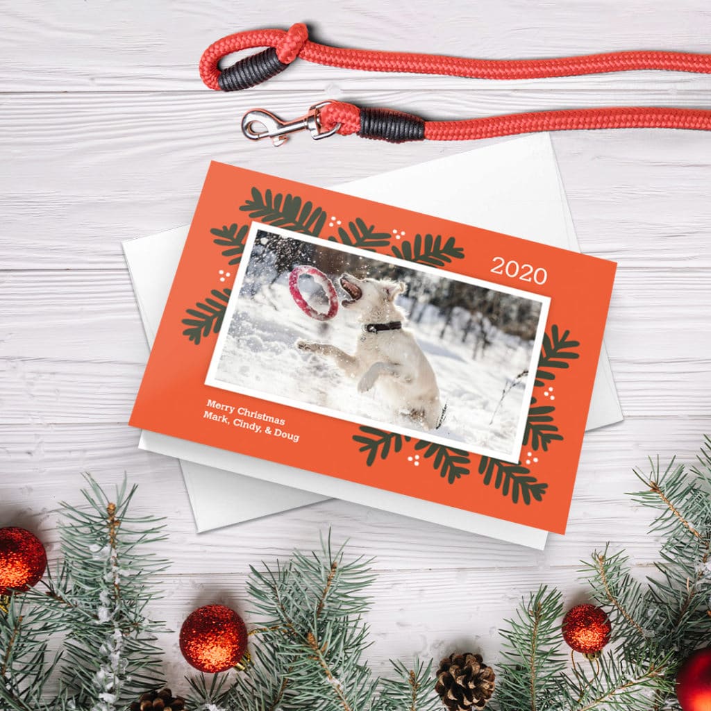 greeting card featuring dog playing catch in the snow, surrounded by christmas decoration and red leash