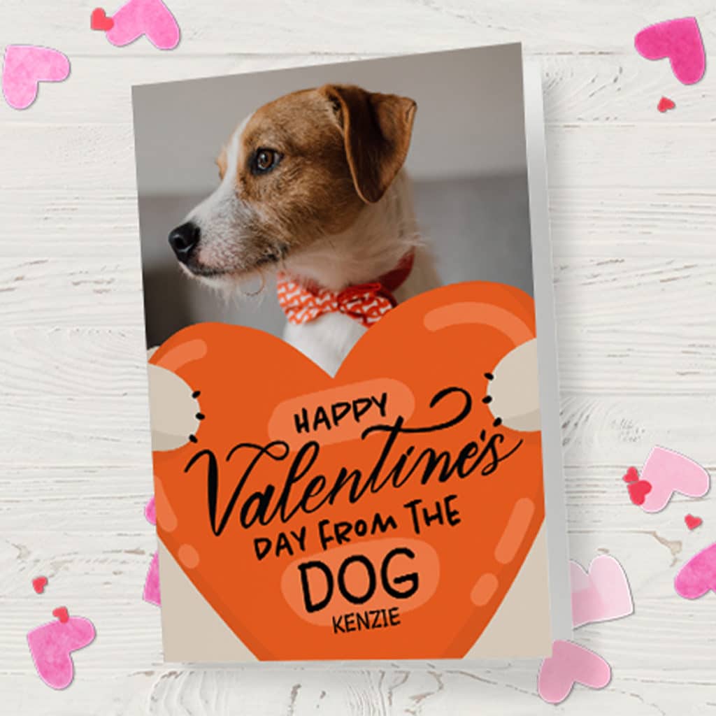 Orange Valentine's Day card from the dog
