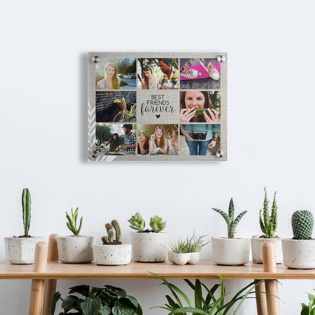Acrylic print photo collage hanging over a table with cacti and succulents