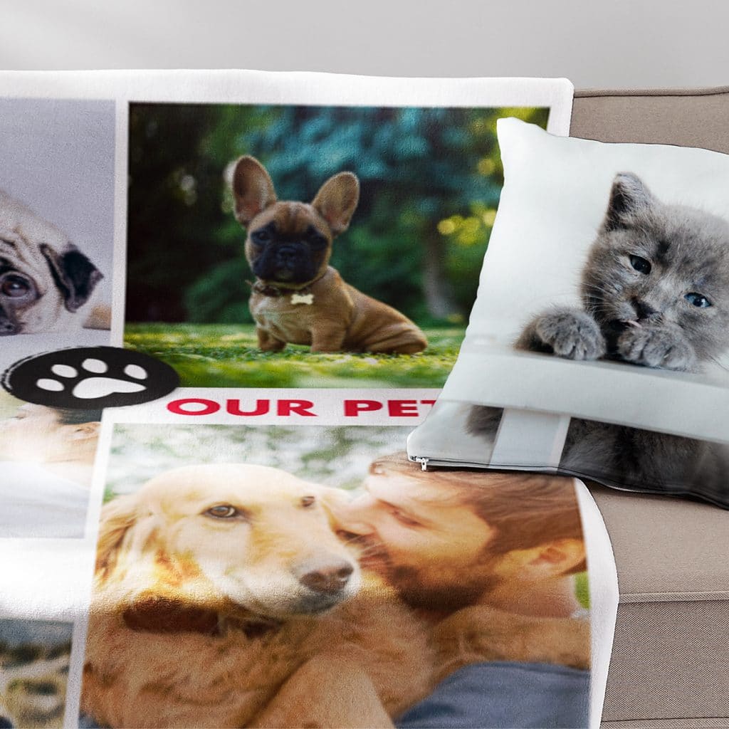 Image of a pillow and blanket featuring adorable pet photos