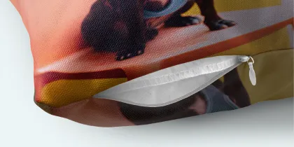 Down-alternative insert